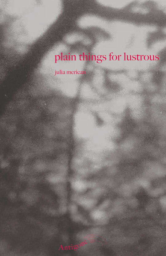 Plain Things for Lustrous Plain Things for Lustrous